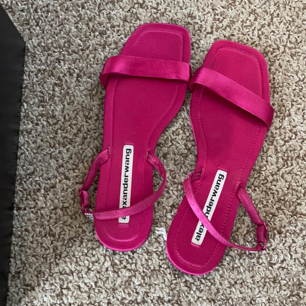 Very lightly worn Alexander Wang Ryder slides